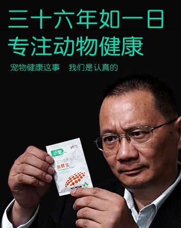 狗狗吃哪种益生菌好呢？狗狗益生菌都有这些作用