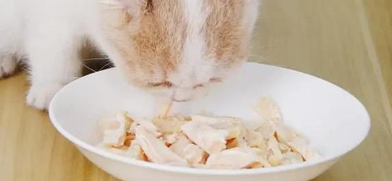 猫可以吃鸡胸肉吗？注意事项有哪些？