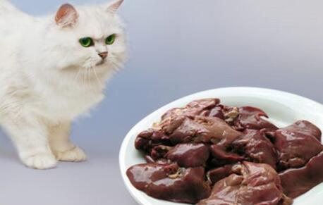 猫可以吃猪肝吗？看完这篇文章，你就知道了