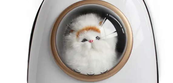 猫会在太空包里拉屎吗 猫会在太空包拉便便吗？看看你家的猫咪是不是这样的。