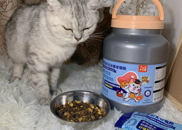 今日解密，猫粮夏天常温放着会变质吗？