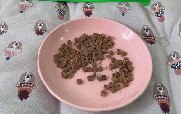 今日解密，猫粮夏天常温放着会变质吗？