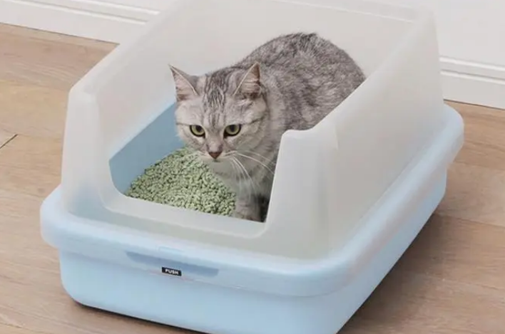 猫“爱玩”猫砂怎么办,原因有许多,细思恐极! 猫“爱玩”猫砂怎么办,原因有许多,细思恐极!