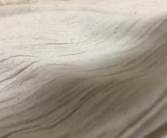 吸完猫薄荷猫咪消失无踪，当主人发现的时分，猫咪们悉数沉沦温床