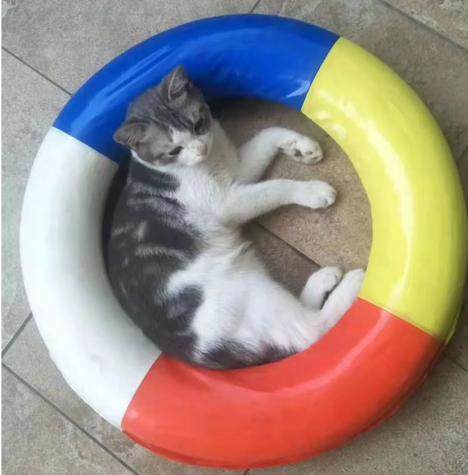 一只猫时刻短的终身，再会，小果冻。