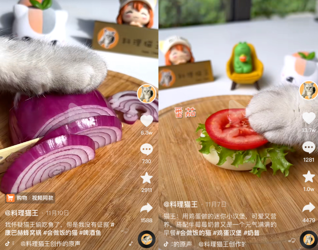喝酒、美甲、过度摄入猫薄荷，“宠物网红”正在遭受损害