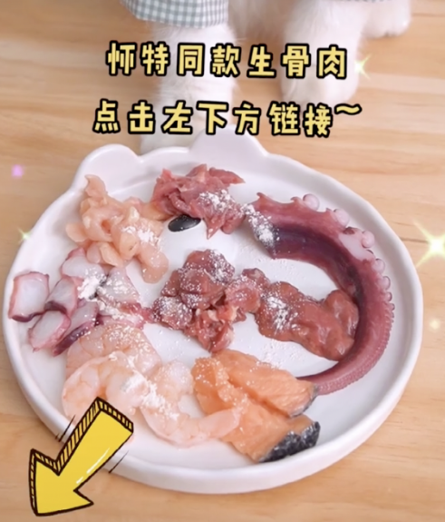 喝酒、美甲、过度摄入猫薄荷，“宠物网红”正在遭受损害