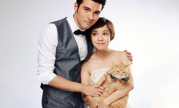 猫生逆袭！残疾漂泊猫变身动物艺人，和很多大牌明星搭戏