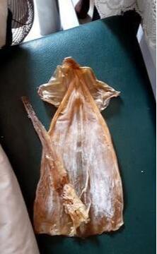 来自猫咪的回报，为了帮主人制备好年货，猫咪将街坊的鱿鱼偷回来