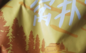 捡猫后续