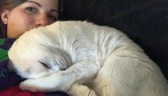 焦虑症女孩领养无耳猫 猫咪帮助下克服精神疾病
