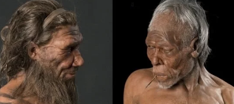 人类最先驯化的物种是什么？不是猫，不是狗，是60万年前的自己