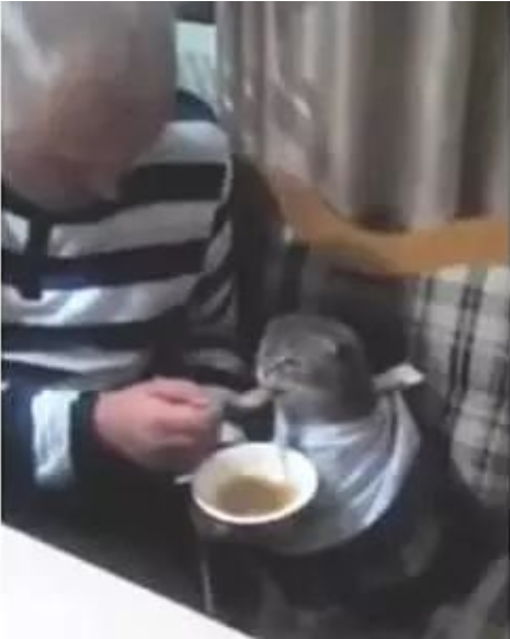 将猫咪放在爷爷家，晚上过去接猫，爷爷：乖，再吃一口