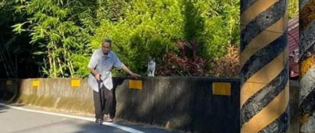 爷爷偷跑出门找老伴，幸好15岁老猫一路陪伴，护送他回家