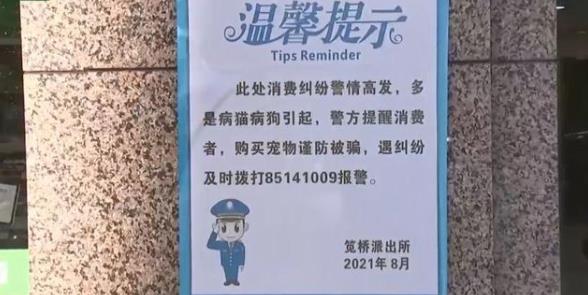 女子买猫刚一周就被确诊猫瘟，店家实力甩锅：过保质期概不负责