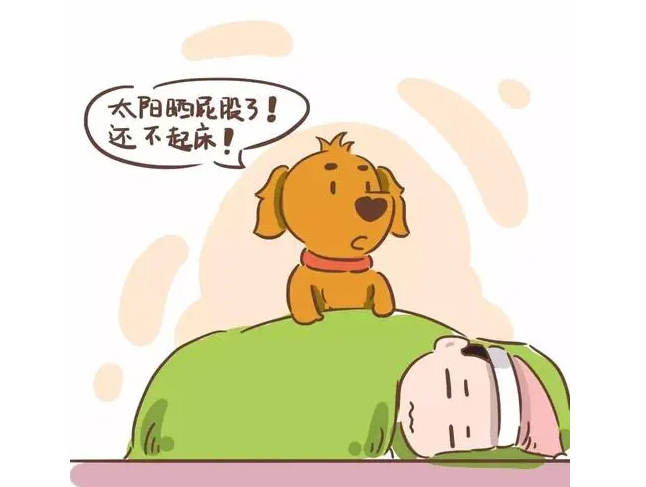 猫咪无辜脸 | 铲屎的起床后发现地上惨不忍睹，家里的喵星人们集体摆出无辜脸