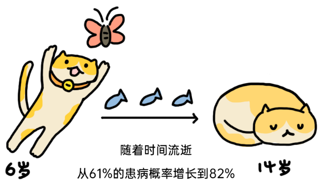 只有年老的猫，才会得关节炎吗？