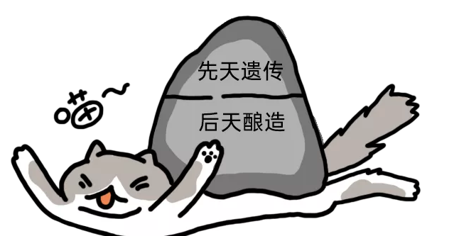 只有年老的猫，才会得关节炎吗？