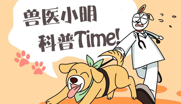 猫咪正在喂奶，低头看到它满眼杀气，这是想将幼猫塞回肚子里吗？