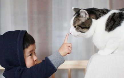 猫哥哥和人类弟弟的成长日记 看起来超级幸福!