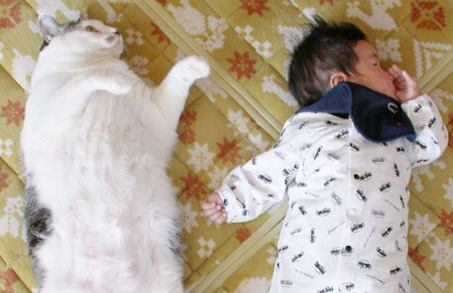 猫哥哥和人类弟弟的成长日记 看起来超级幸福!