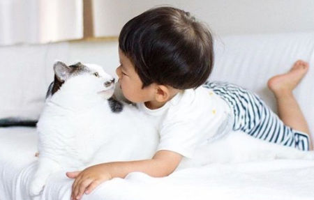 猫哥哥和人类弟弟的成长日记 看起来超级幸福!