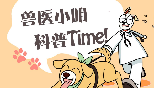 老人卖瓶子攒了好久的钱，给流浪猫们买了一只鸡，画面十分戳心