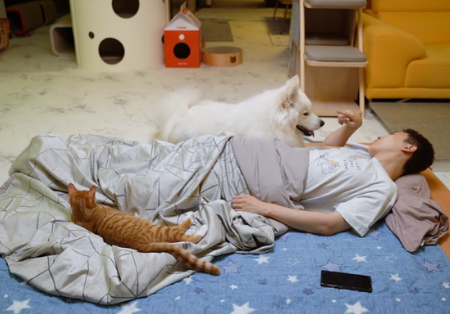 主人陪猫咪狗狗睡一晚，猫狗黏人差异立现：狗狗半夜还讨摸摸！