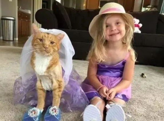 主人拼尽全力保护的大橘猫，现在成了女儿保镖…
