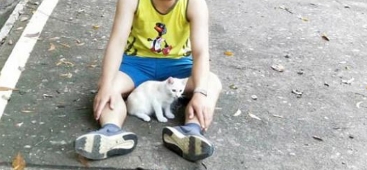 晨跑小哥被喵星人一路尾随，还被猫咪赖上：你就是我命定的铲屎官