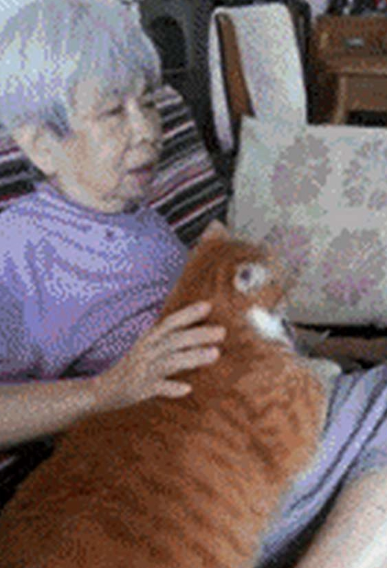将橘猫送给奶奶养，再次去奶奶家时，发现一只“大鸡腿”