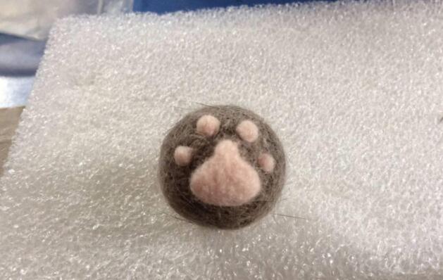 主人用猫咪的毛发摆造型，第6个惊艳到我了，网友：高手在民间
