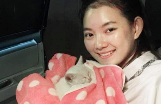 心地善良女孩怜惜小猫流浪街头 把它带回家 这是她彻底剿灭的第13只猫(图2)