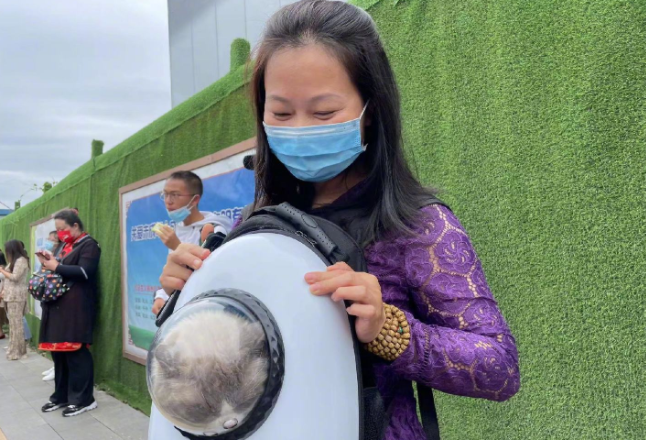 暖心！昆明一宠物猫为小主人送考(图1)