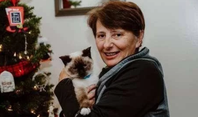 流浪猫上戴项圈 花蛇被主人狠心遗弃 拆下来项圈看到一封信 感动的话了(图4)