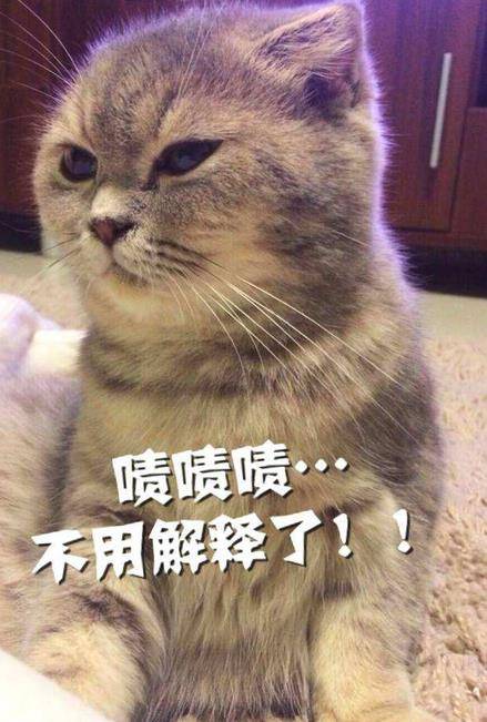 猫咪乱尿这个玄学问题 该怎么解决的办法？总有一款解决方案更适合你(图4)