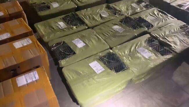 痛心！百余只宠物盲盒被遗弃街头 有猫有狗都在惨叫！(图5)
