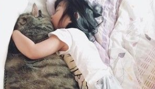 这是龙猫吧！我曾经的小萌鲜肉变肥宅大叔巨猫(图1)