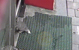 流浪天涯小猫为地包天的 用身体不停撞门 猫：拜托您 把门关打开吧(图2)