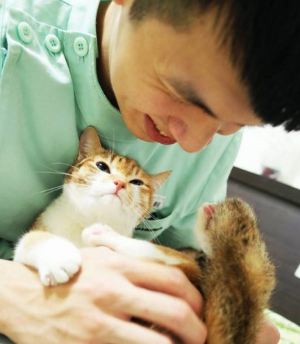 温暖!治疗好犬和爱人猫的大家庭有故事的一狗三猫(图2)