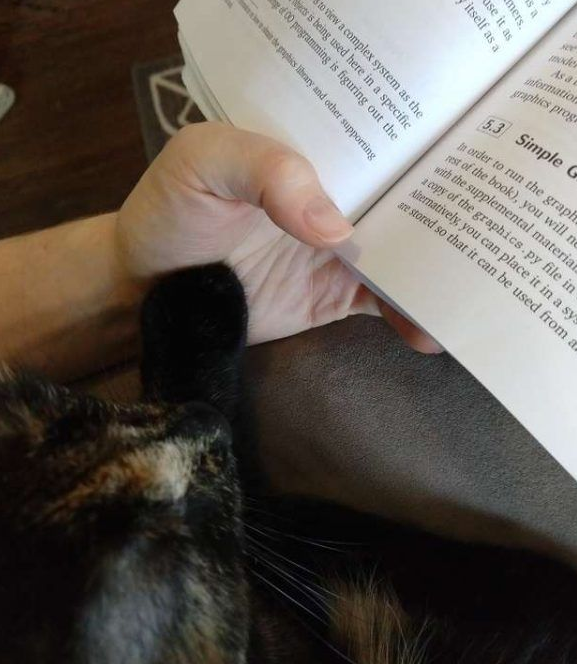 不愧是喵星人！超可爱呀玳瑁猫和一架骷髅做好朋友(图2)