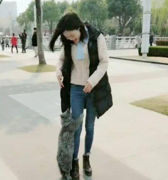 猫咪绝技那是想抱大腿 穿过腿窜进主人衣服 猫咪：大佬求带(图2)