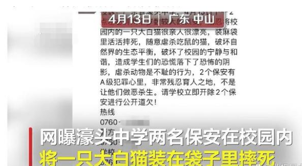网曝广东一中学保安 将流浪猫装袋子掉下去！学校：没摔死 放生了(图2)