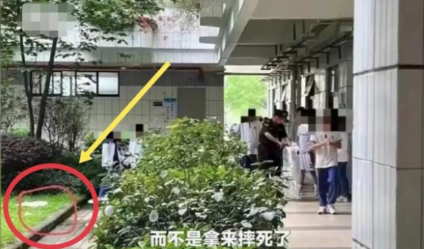 网曝广东一中学保安 将流浪猫装袋子掉下去！学校：没摔死 放生了(图3)