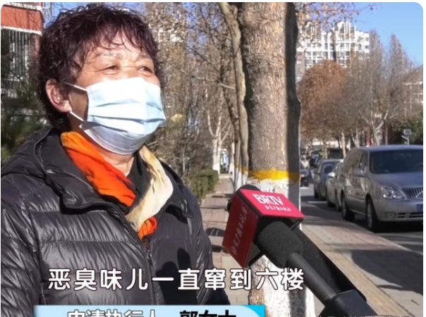 北京房山：家有恶邻养猫数十只 臭气熏天劝不想听！法院强执解民忧(图1)