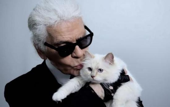 老佛爷Karl Lagerfeld爱猫踏步前行宠物代言人热潮(图1)