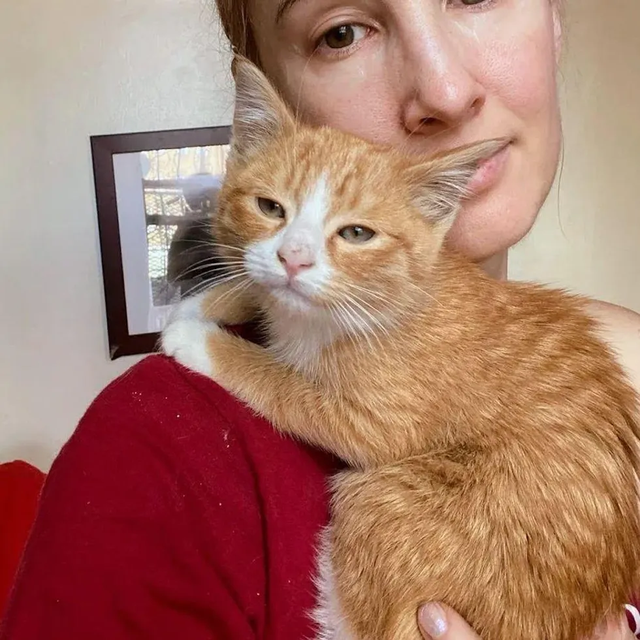 野性十足的橘猫弟弟 那一场病后 让其真身蓝月帝国了黏人的小天使(图6)