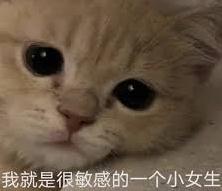 还在怀疑猫主子是否真的爱你么？科学家帮大家验证啦！(图1)