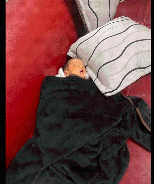 网友刚买的婴儿床 却被家里的猫咪霸占了 猫：我试试舒不舒服！(图3)