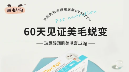如何让猫咪快速美毛？麦都教你猫咪美毛小窍门(图1)